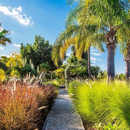 Tatil Evi Quinta Azul - Gorgeous With Pool & Private Terrace *