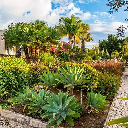 Tatil Evi Quinta Azul - Gorgeous With Pool & Private Terrace *