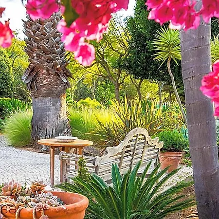 Quinta Azul - Gorgeous With Pool & Private Terrace